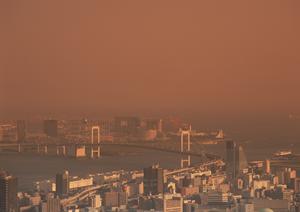 所沢市で賃貸物件探しをしたいなら